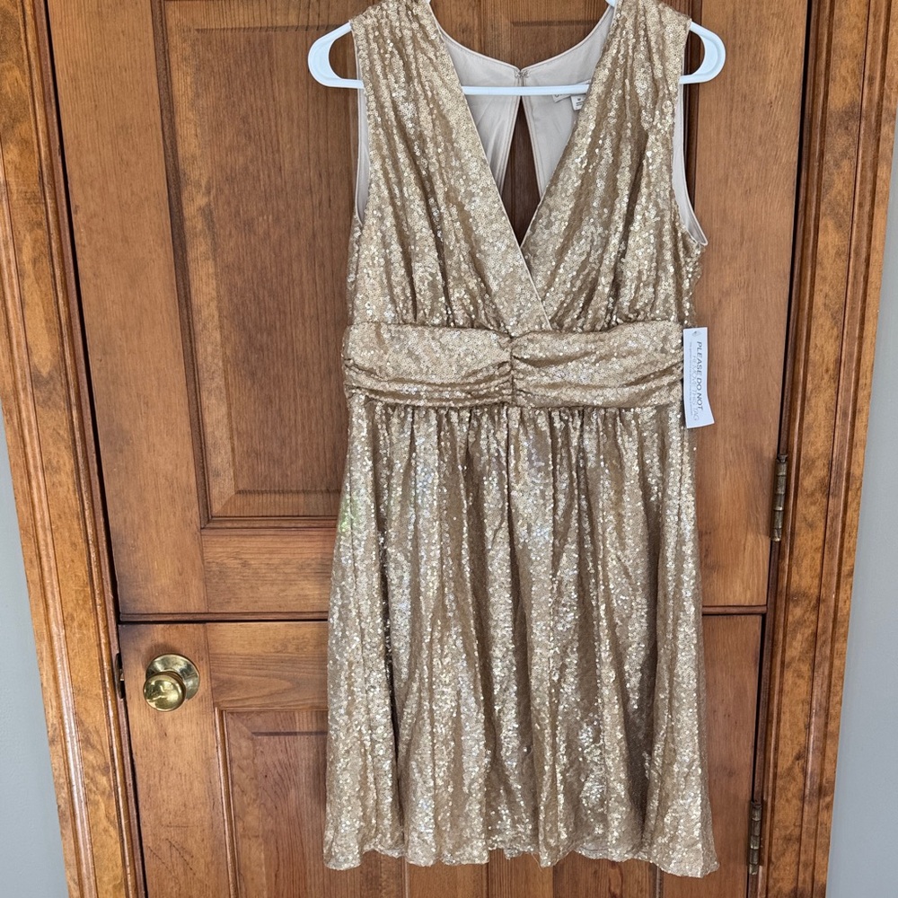 Eva Mendes Gold Sequin Backless Dress